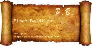 Pisch Balázs névjegykártya